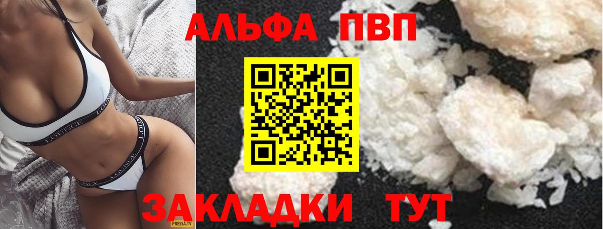 Alfa_PVP СК КРИС Луга