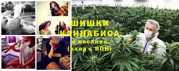 сатива Алексин