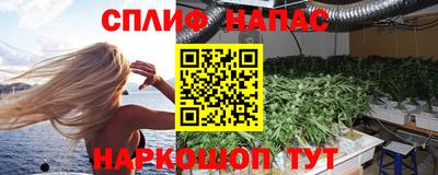 МДПВ Донской