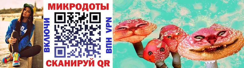 Галлюциногенные грибы Psilocybine cubensis  ссылка на мегу как войти  Луга 