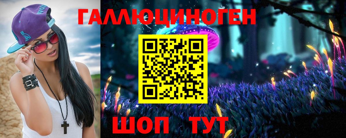 Галлюциногенные грибы Psilocybine cubensis Луга
