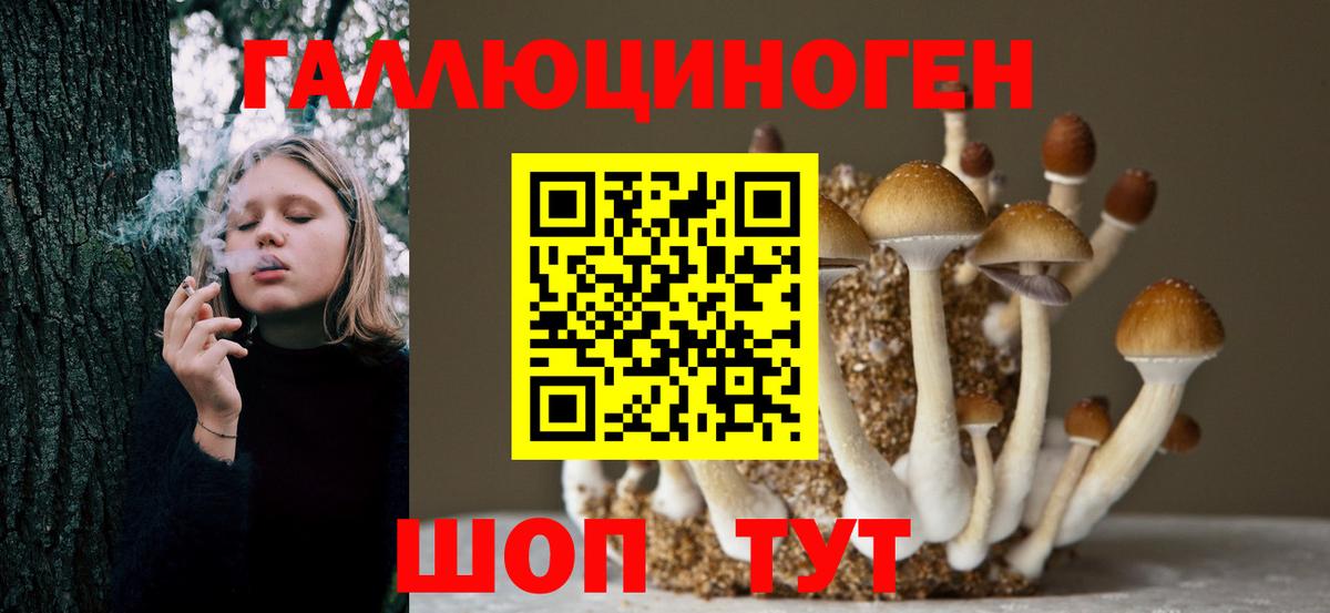 Луга  Галлюциногенные грибы Psilocybine cubensis  Псилоцибиновые грибы Psilocybine cubensis  Вход с VPN 